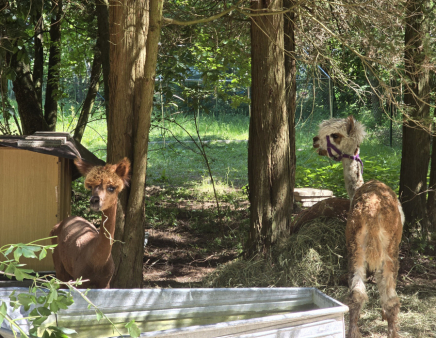 792844a862050a5f4e9a61f2ad976e4b (1)