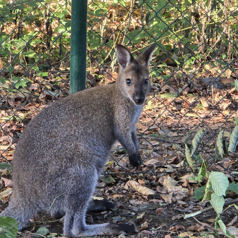 576591fca83cf72f120a33ff77f2a566 (1)