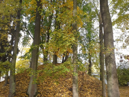 foto 04