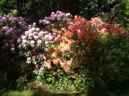 foto 23
