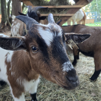 08c1caed5cf486be7ee57867ebfc6773